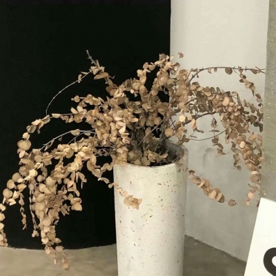 兽设表情绘制技巧福瑞交流群